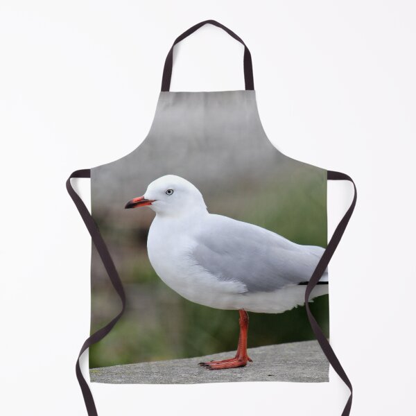 Item preview, Seagull Standing On Wall designed and sold by KarenWoodArt.