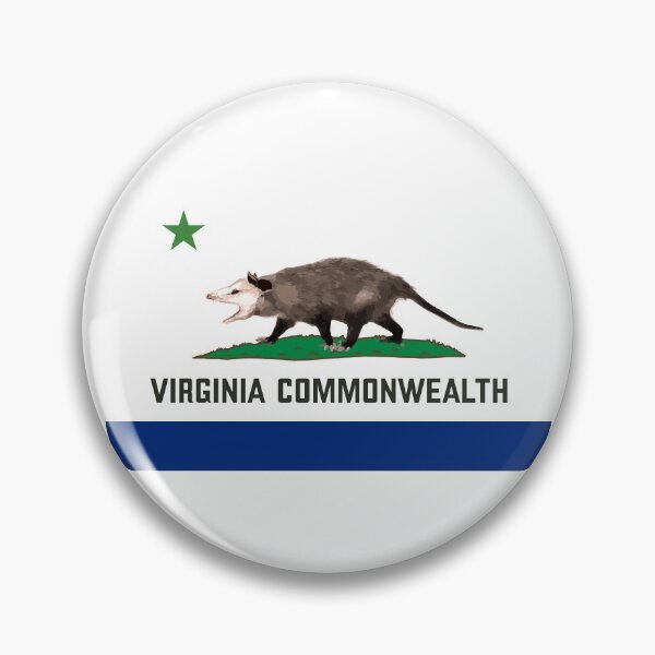 Virginia Commonwealth Pin