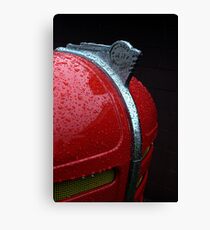 the eagle has landed Canvas Print