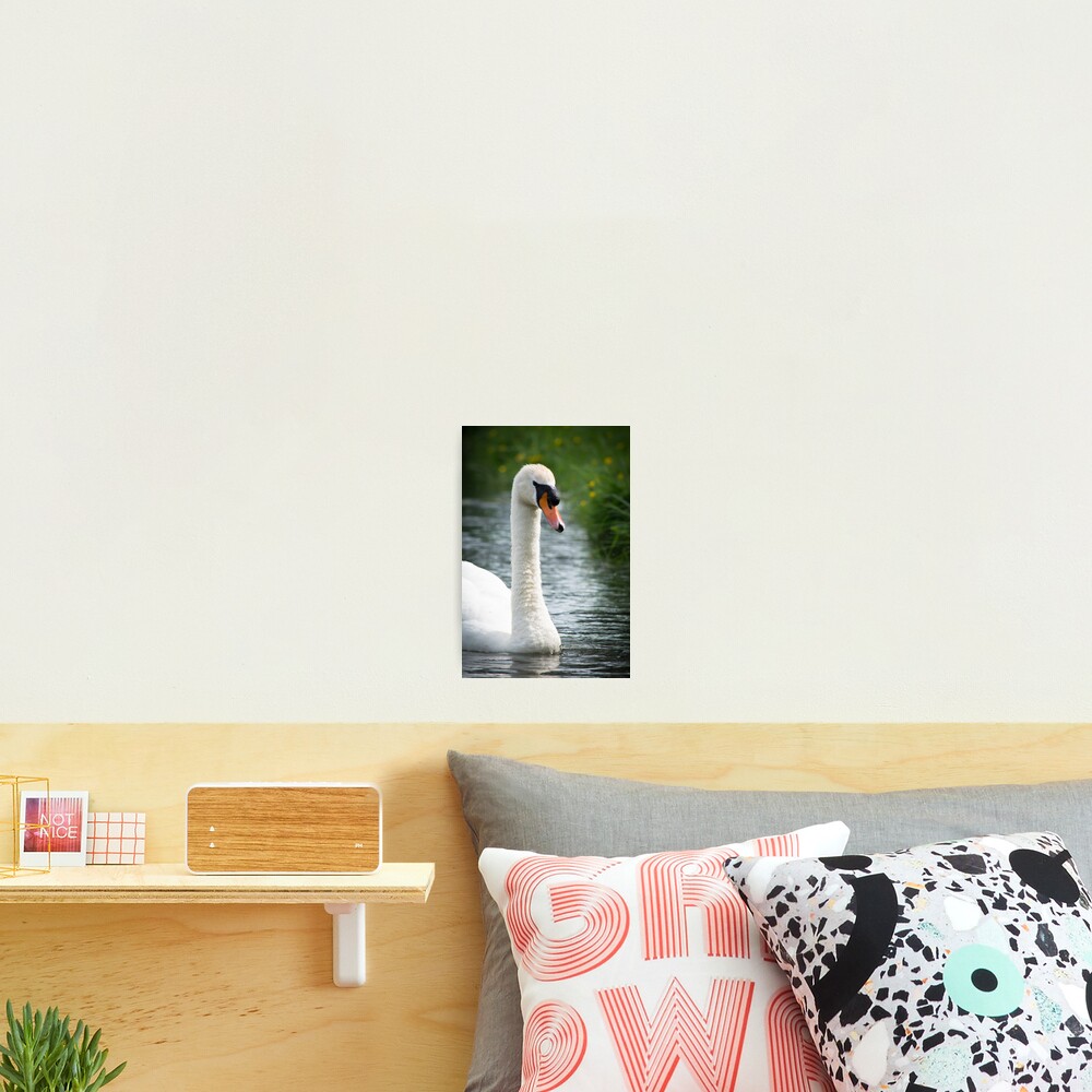 Item preview, Photographic Print designed and sold by RalphGoldsmith.