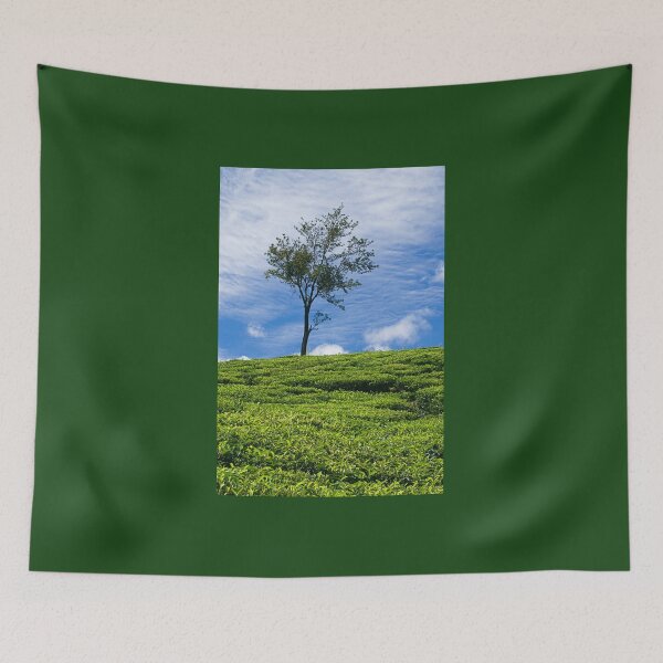 Item preview, SSK 9220 One Tree Hill. Color designed and sold by Sunil Kapadia.