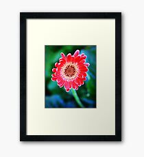 Flower Framed Print
