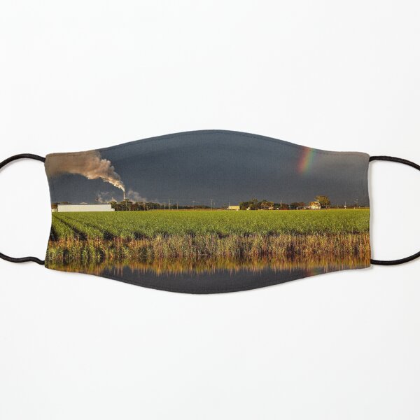 Jacobs Well Sunset Kids Mask