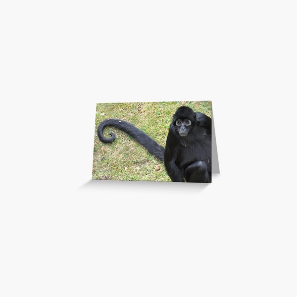 The Tail of a Monkey Greeting Card