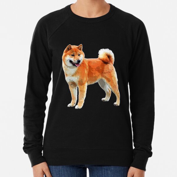 Shiba sweater buckle boot new arrivals