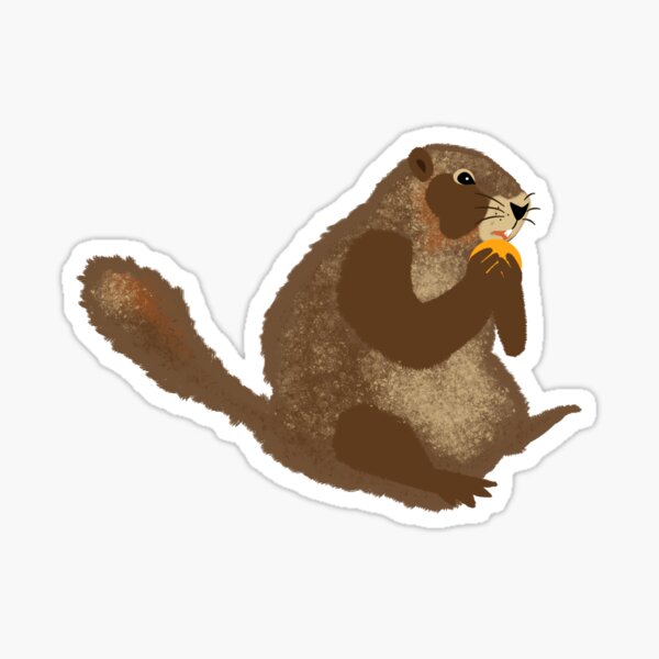 Groundhog Sticker
