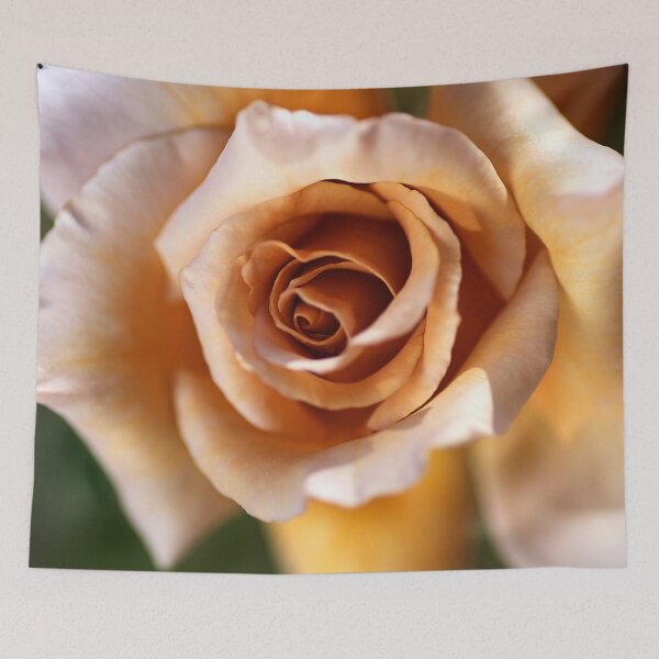 Item preview, Julias Rose Lush designed and sold by Joy Watson - Natural Light Photography .