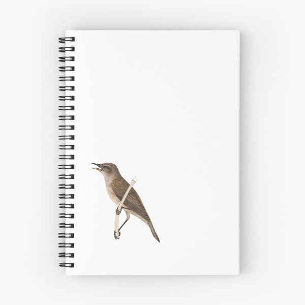 Item preview, Bird Art - Great Reed warbler - Vintage Print Art designed and sold by Studio66Designs.