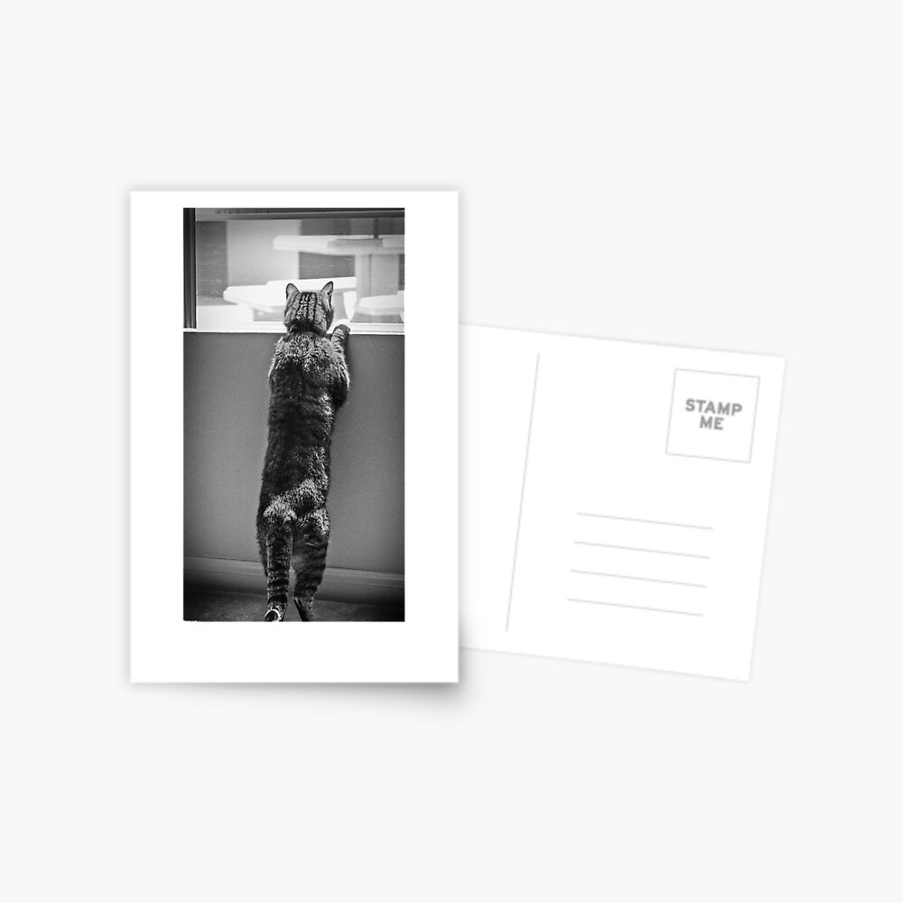 Item preview, Postcard designed and sold by littleoldhag.