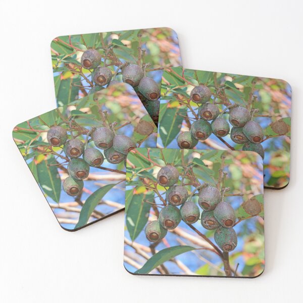 Item preview, Gumnuts designed and sold by Doug Cliff.