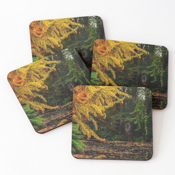 Item preview, Autumn Colours of the Dandenongs designed and sold by MattBradfield.