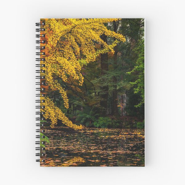 Item preview, Autumn Colours of the Dandenongs designed and sold by MattBradfield.