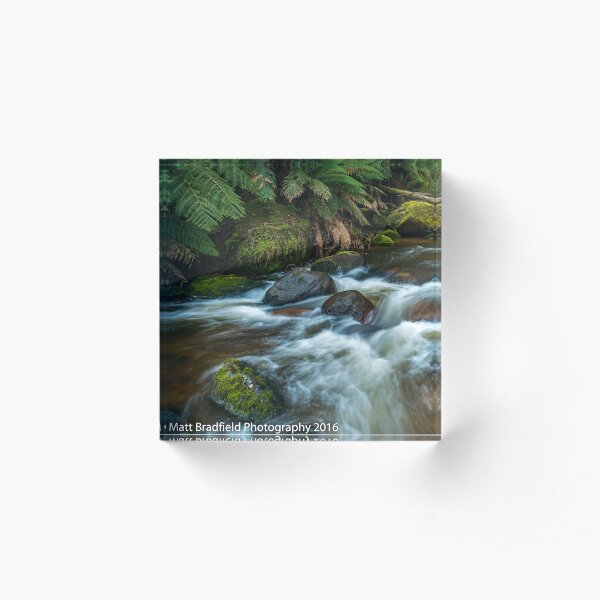 Toorongo River Acrylic Block