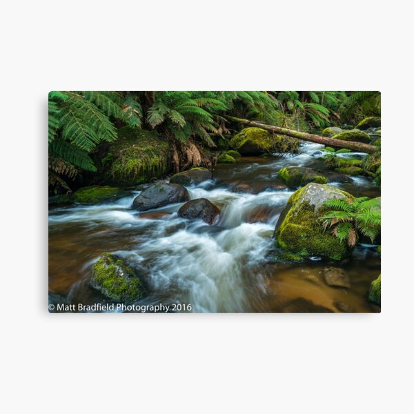 Item preview, Toorongo River designed and sold by MattBradfield.