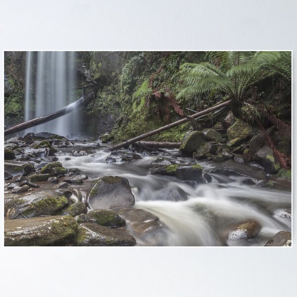 Item preview, Beauty of The Otways designed and sold by Shari Sherriff.