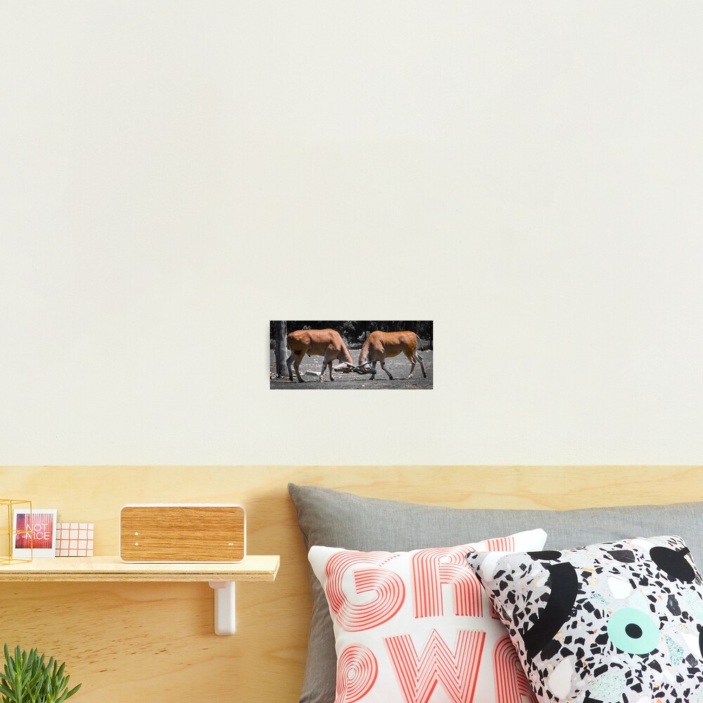 Item preview, Photographic Print designed and sold by littleoldhag.