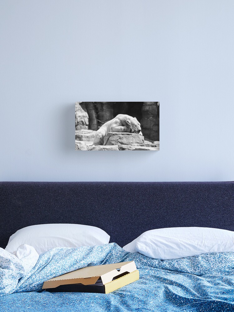Thumbnail 1 of 3, Canvas Print, Polar Nap designed and sold by littleoldhag.