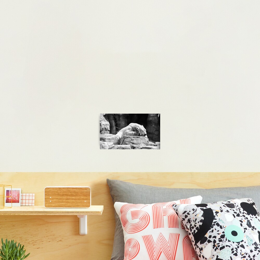 Item preview, Photographic Print designed and sold by littleoldhag.