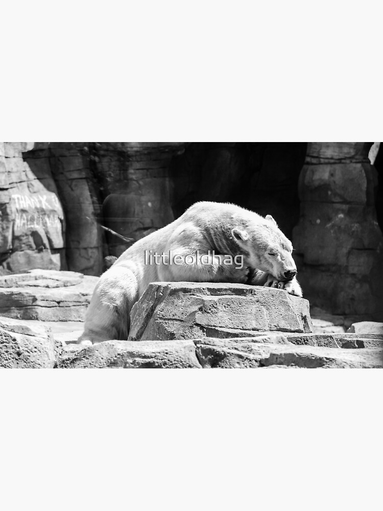 Thumbnail 3 of 3, Canvas Print, Polar Nap designed and sold by littleoldhag.