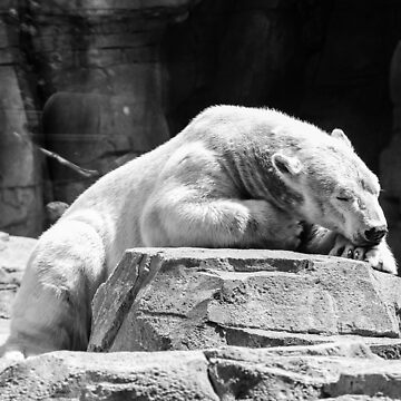Artwork thumbnail, Polar Nap by littleoldhag