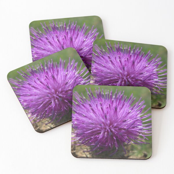 Item preview, Thistle flourishing in the summer sun designed and sold by alanoix.