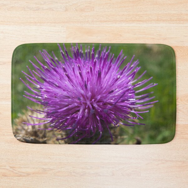 Item preview, Thistle flourishing in the summer sun designed and sold by alanoix.