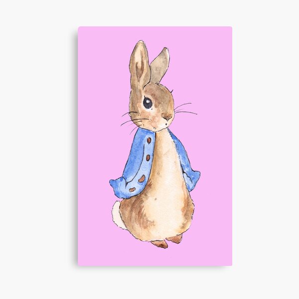 Frightened Rabbit Canvas Prints | Redbubble