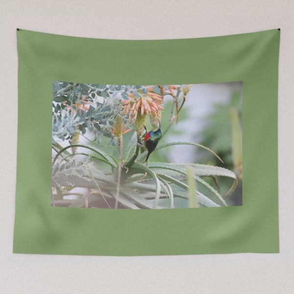 Item preview, Double Collared Sunbird designed and sold by LensIntoAfrica.