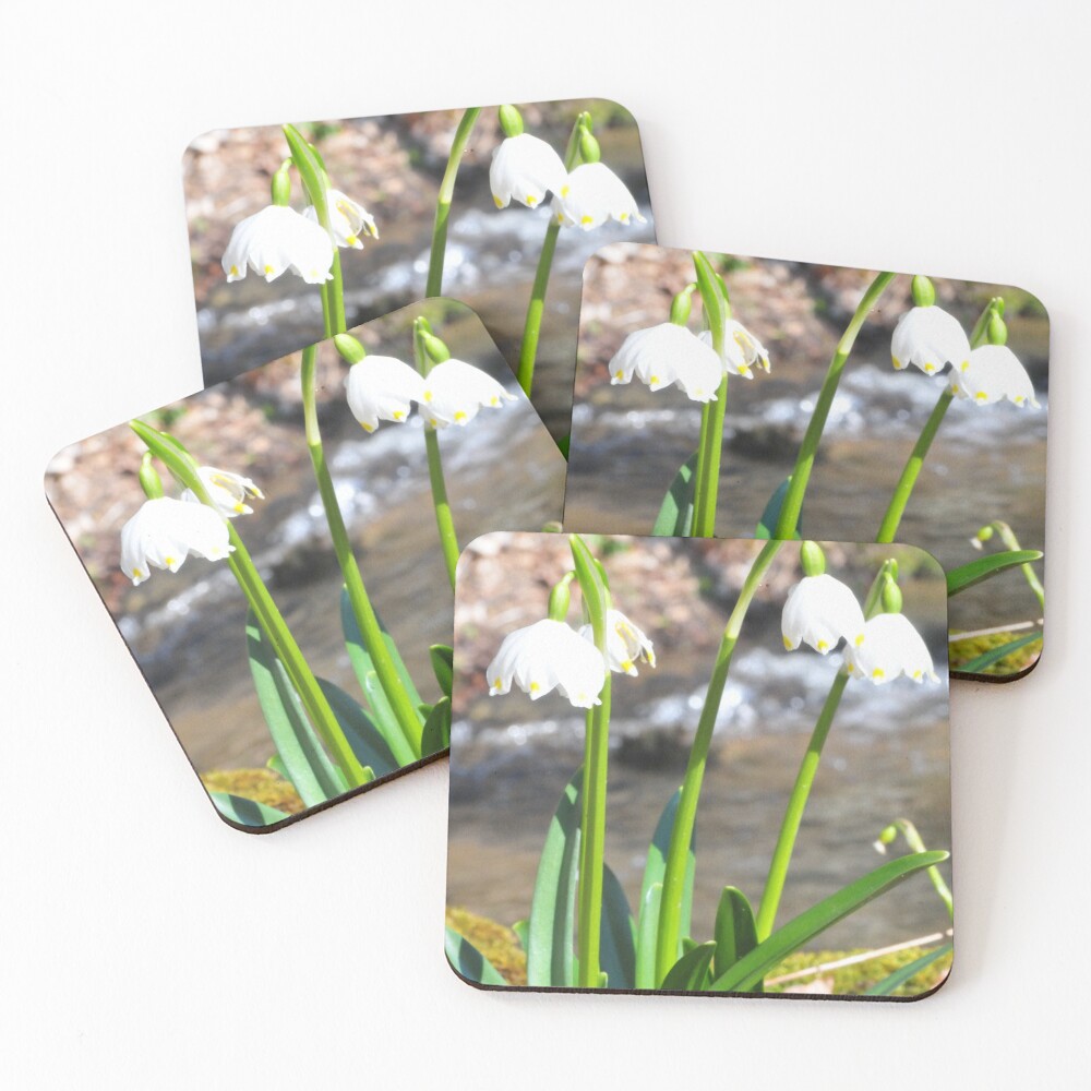 Item preview, Coasters (Set of 4) designed and sold by JeremyTaylorCZ.