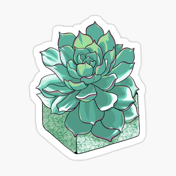 Succulent Sticker