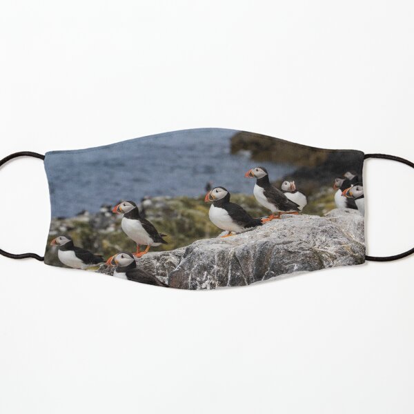 Flock of Puffins Kids Mask