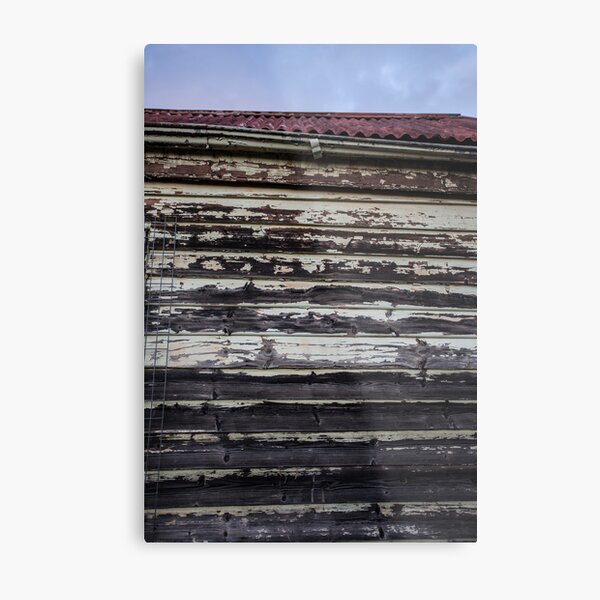 beauty is in the eye of the beholder Metal Print