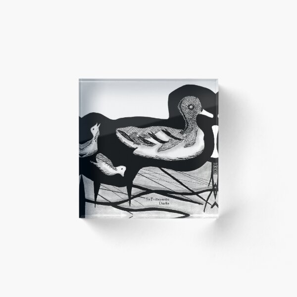 St Frideswide Ducks Acrylic Block