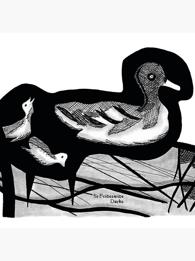 St Frideswide Ducks by hoxtonboy