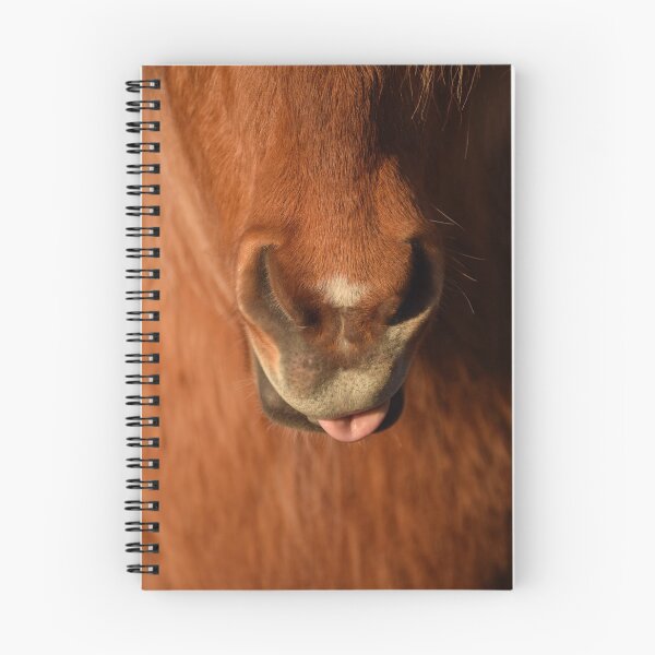 Item preview, Cute Icelandic horse nose designed and sold by elisainiceland.
