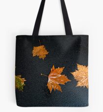Winter Takes no Prisoners Tote Bag