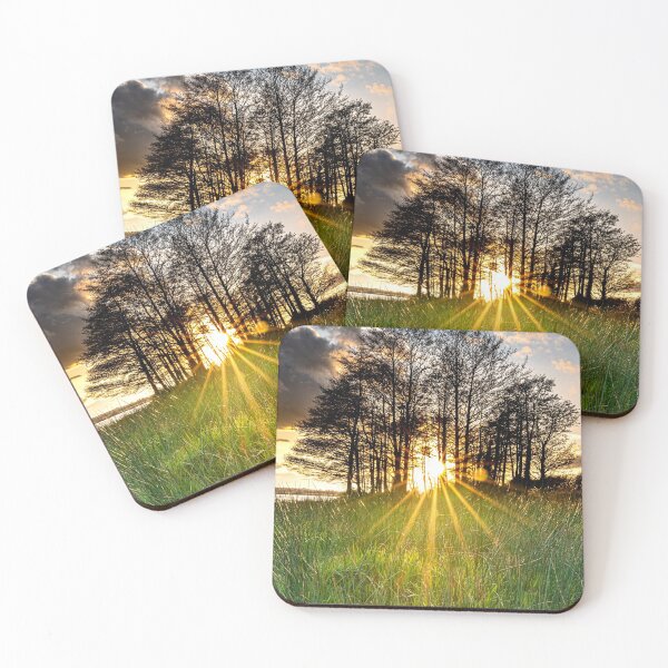 Item preview, Canterbury sunstars designed and sold by rogerstanger.