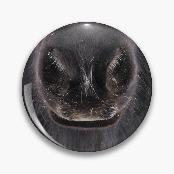 Item preview, Nose of an Icelandic horse designed and sold by elisainiceland.