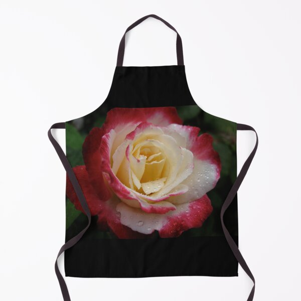 Item preview, Rose with Raindrops Original Photograph designed and sold by Heatherian.