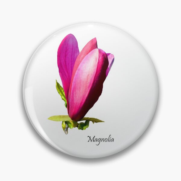 Item preview, Beautiful Sturdy Magnolia designed and sold by Frank  Irwin.