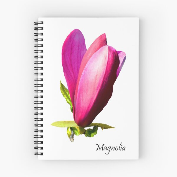 Item preview, Beautiful Sturdy Magnolia designed and sold by Frank  Irwin.