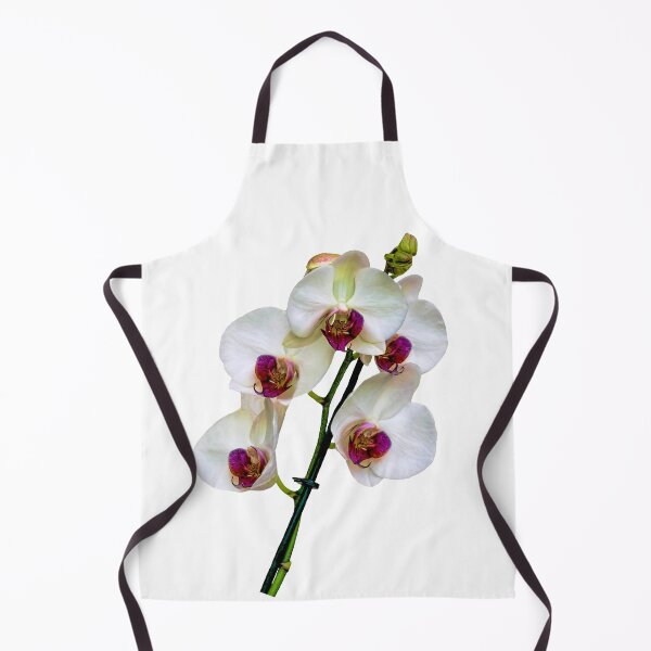Item preview, The Beautiful Phalaenopsis Orchid designed and sold by Frank Irwin.