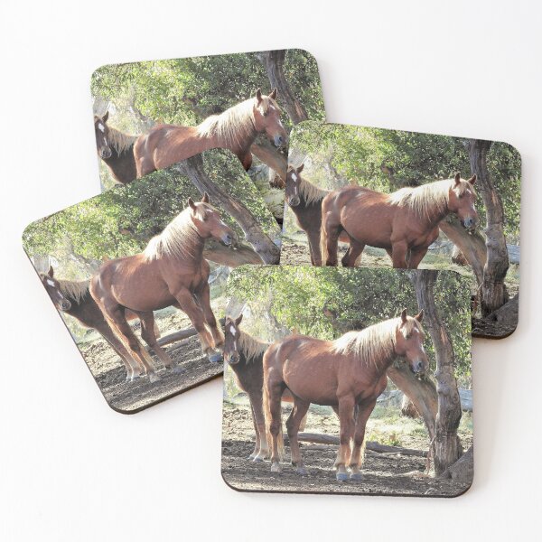 Item preview, Brumbies designed and sold by julie anne  grattan.