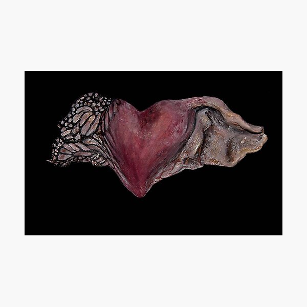 Flutter-by Heart Photographic Print