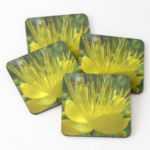 Item preview, floral radiance designed and sold by alanoix.