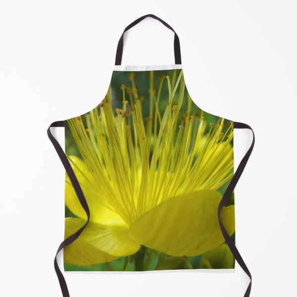 Item preview, floral radiance designed and sold by alanoix.