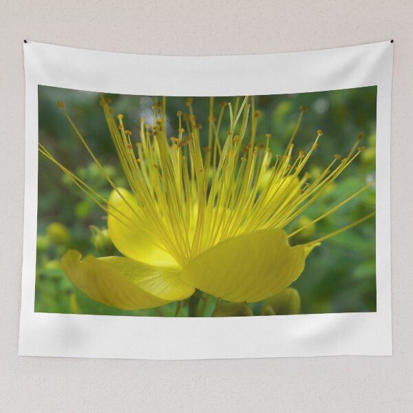 Item preview, floral radiance designed and sold by alanoix.