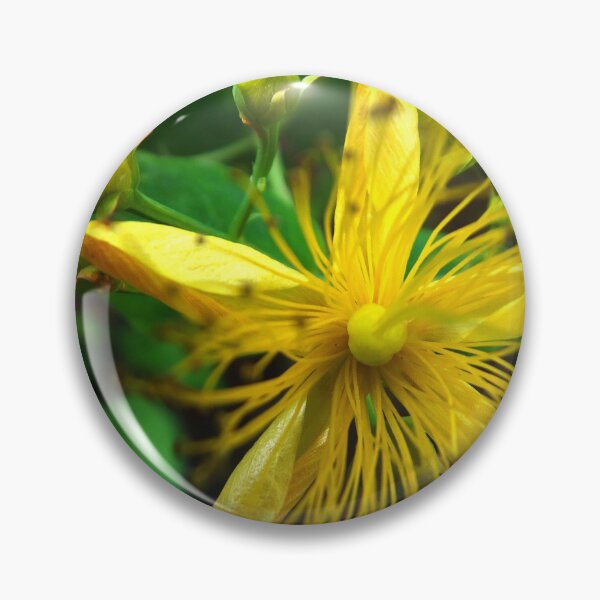 Item preview, Sun flower designed and sold by alanoix.