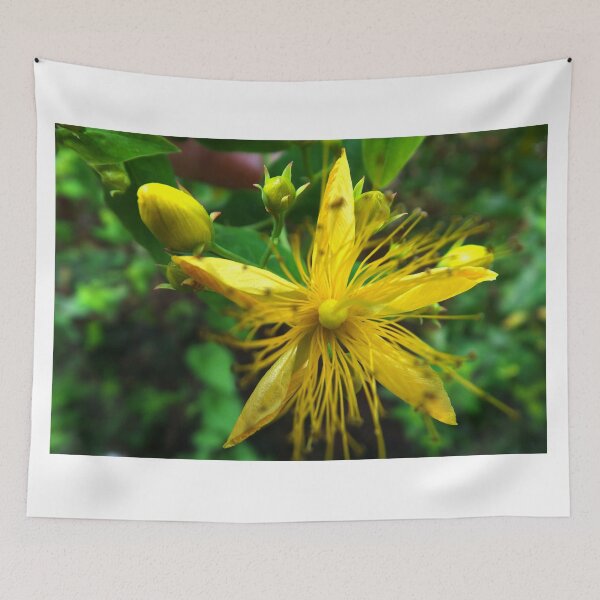 Item preview, Sun flower designed and sold by alanoix.