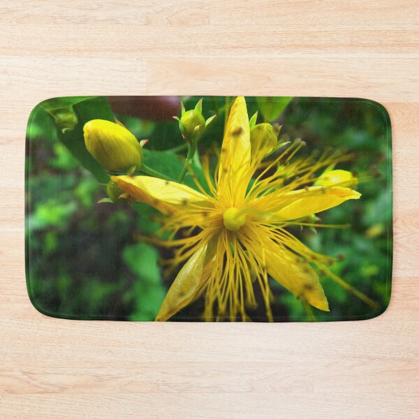 Item preview, Sun flower designed and sold by alanoix.